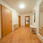 Palackého * Tábor