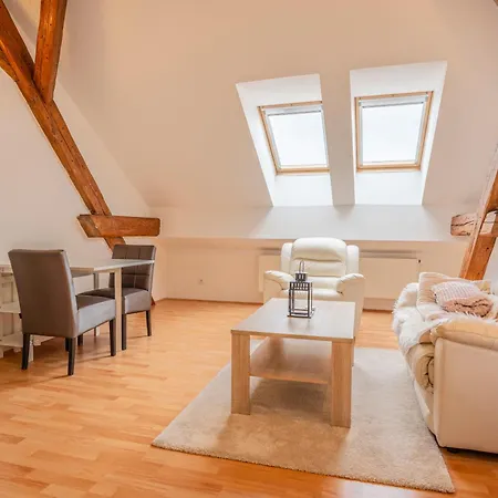 Palackeho Appartement *