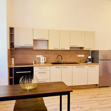 Palackeho Appartement *