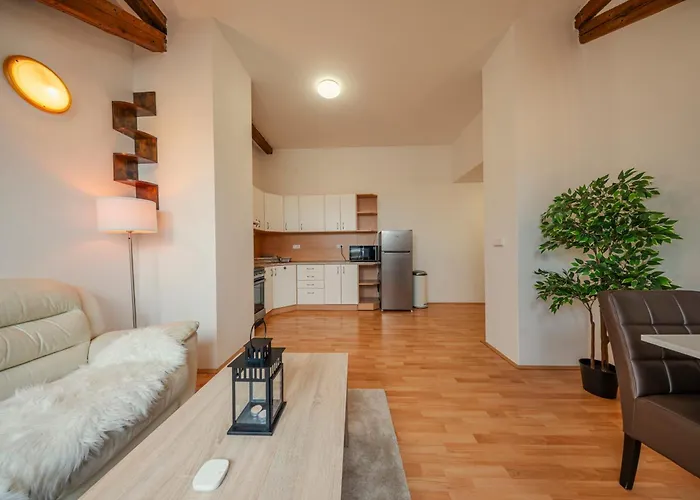 Apartman Palackého